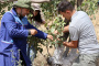 Training on Pistachio Forest Management in Tajikistan