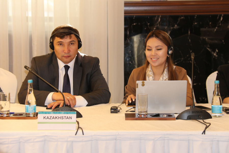 Консультативный семинар по нращиванию потеныиала в области лесного хозяйстава для региона Центральной Азии