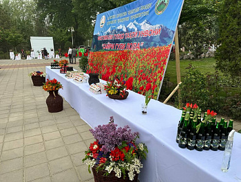 Фестиваль в парке культуры и развлечений имени Абулкасима Фирдавси в Душанбе